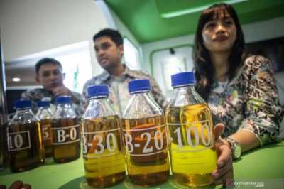 Tahun Depan Prabowo Mau Ngegas Biodiesel 50 Persen di Indonesia