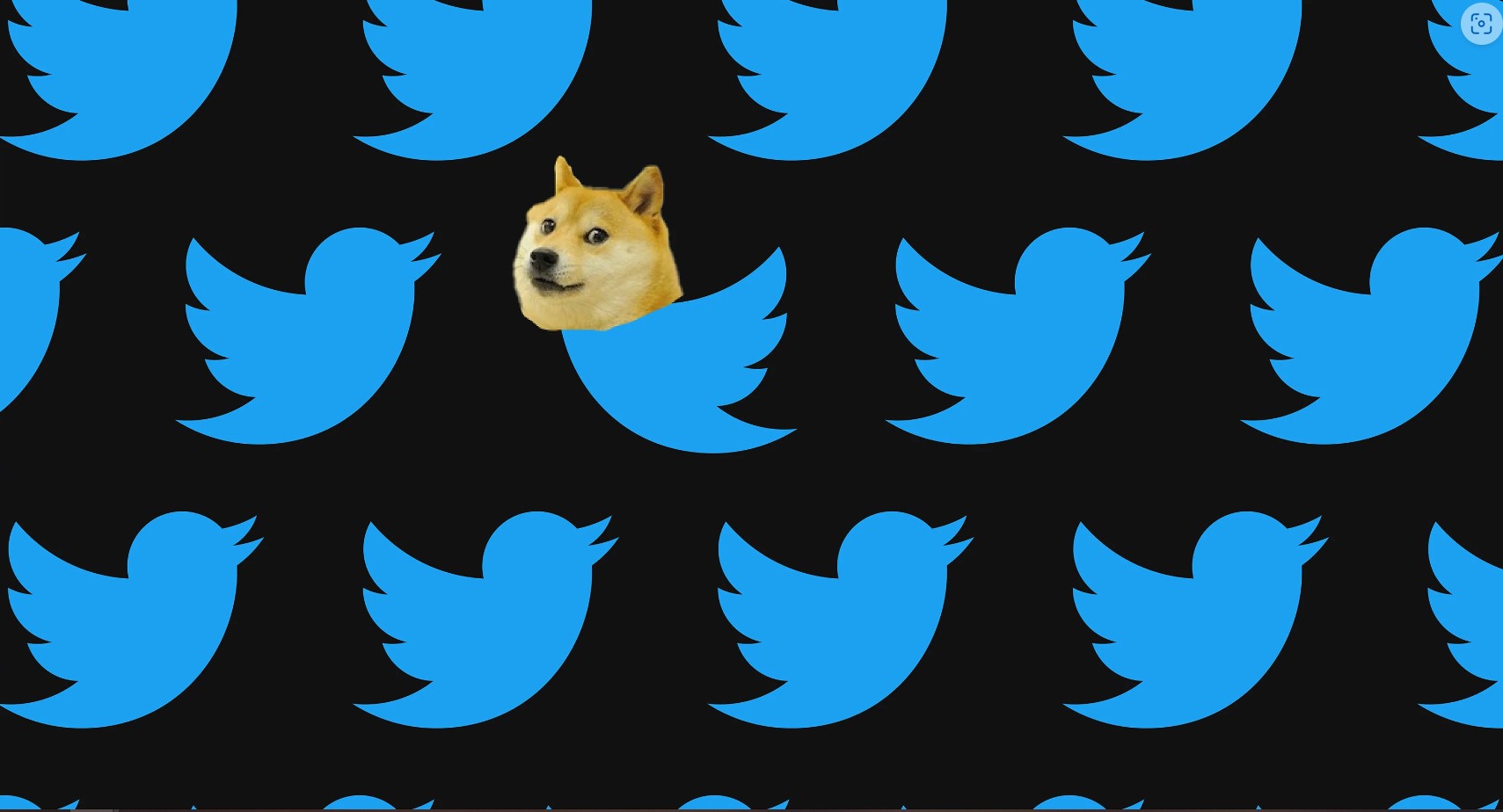 Logo Burung Twitter Hilang, Diganti Anjing Dogecoin