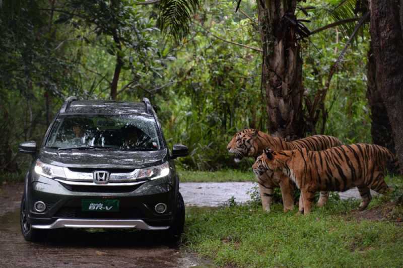 Honda Studi Terus, Kapan CR-V, Jazz, Mobilio, BR-V Terbaru Hadir Sih? Honda Studi Terus, Kapan CR-V, Jazz, Mobilio, BR-V Terbaru Hadir Sih?