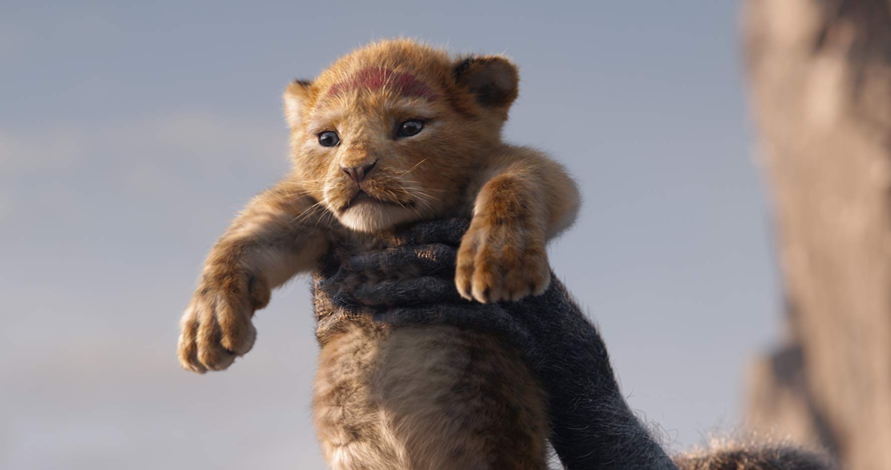 Rekor Baru 'The Lion King', Rajai Takhta Film Animasi Terlaris Sepanjang Masa