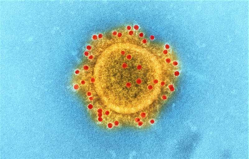 2 WNI Kena Virus Corona, Depok Jadi Trending Topic Nomor 1