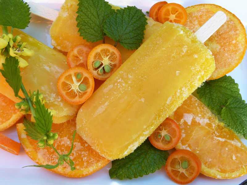 5 Resep Es Krim Anti Gendut 5 Resep Es Krim Anti Gendut