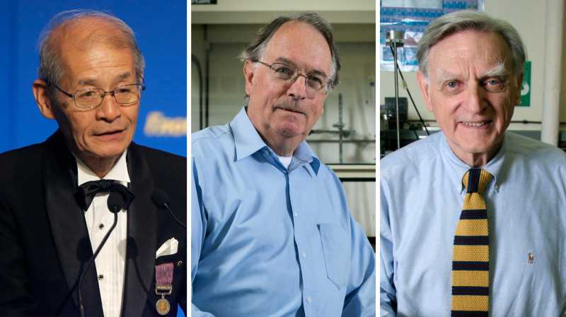 Terima Kasih Penemu Baterai Lithium Ion, Kalian Layak Diganjar Nobel Terima Kasih Penemu Baterai Lithium Ion, Kalian Layak Diganjar Nobel