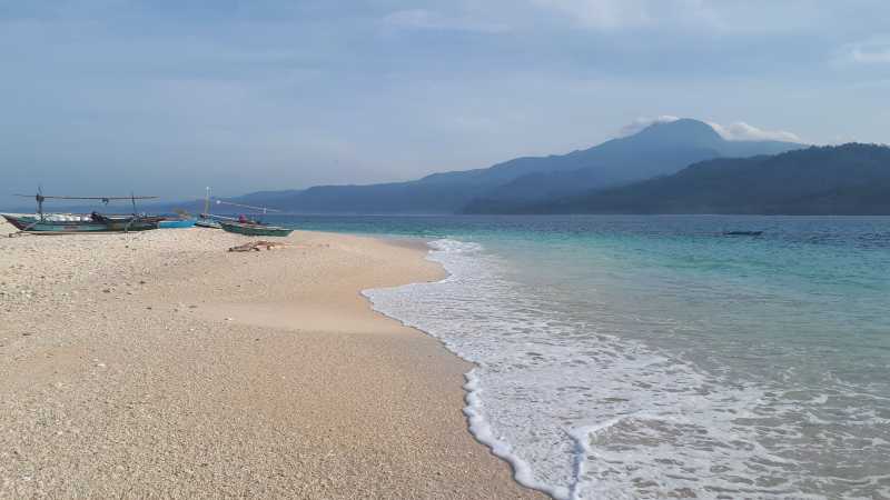 Di Lampung Ada Pulau Pisang, Tempat untuk Melihat Lumba-lumba