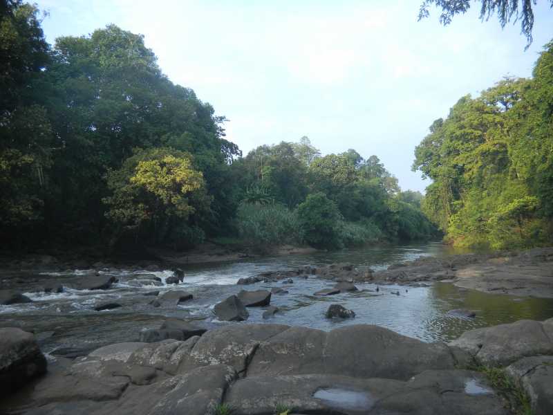 5 Fakta Tentang <i>Heart of Borneo</i>, Inisiasi dari Indonesia-Malaysia-Brunei