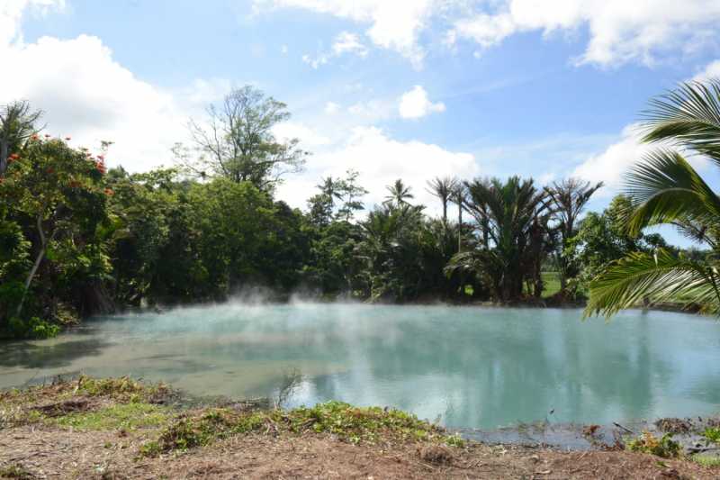 Pasar Hutan Ranolewo, Ada Pasar di Tengah Hutan? Pasar Hutan Ranolewo, Ada Pasar di Tengah Hutan?