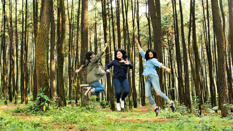 Taman Wisata Gunung Pancar, Objek Tamasya Kekinian di Bogor Taman Wisata Gunung Pancar, Objek Tamasya Kekinian di Bogor