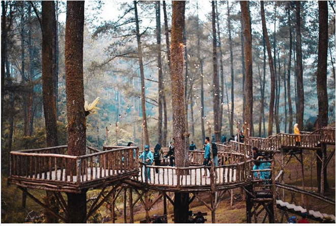 Menelusuri Keindahan Hutan Pinus di <i>Orchid Forest Cikole</i> Bandung