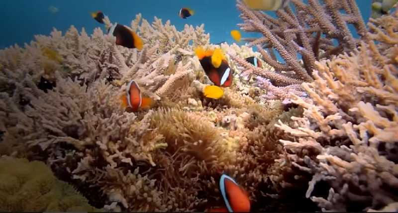 Taman Nasional Bunaken, Tempat Melarikan Diri dari Kota Taman Nasional Bunaken, Tempat Melarikan Diri dari Kota