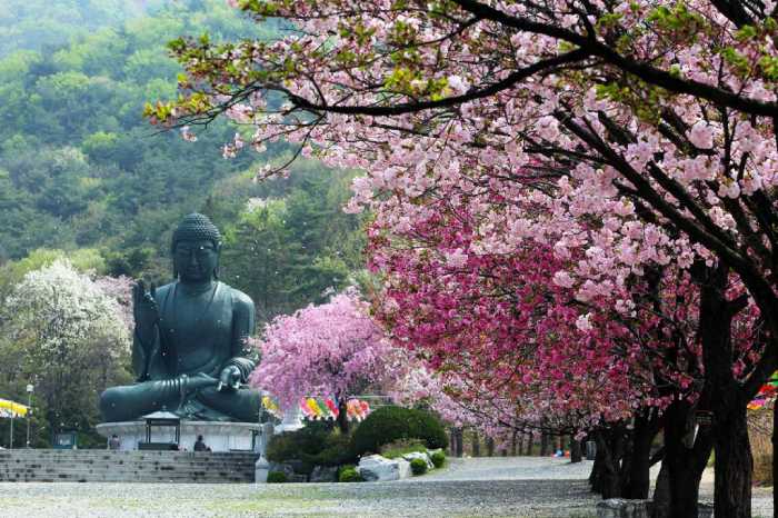 Chungnam-do, Sebuah Provinsi di Korea Selatan dengan Pemandangan Eksotis Chungnam-do, Sebuah Provinsi di Korea Selatan dengan Pemandangan Eksotis