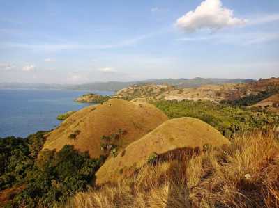 Pulau Komodo Ditutup, Ini Alternatif Wisata di Labuan Bajo