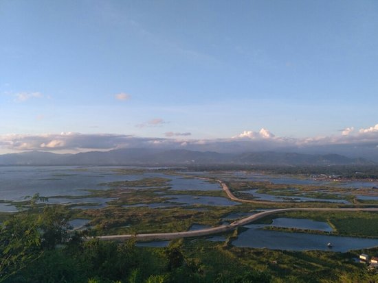 Ke Danau Limboto Gorontalo, Burung dari Berbagai Belahan Dunia Bermigrasi