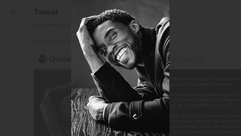 Unggahan Terakhir Chadwick Boseman Dapat Likes Terbanyak Sepanjang Sejarah