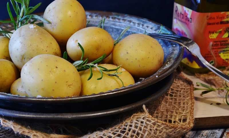 7 Makanan Sehat Penyeimbang Hormon 7 Makanan Sehat Penyeimbang Hormon