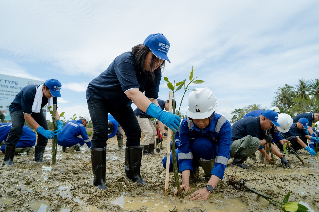 Program CSR Yamaha Tanam Ratusan Ribu Mangrove di Indonesia