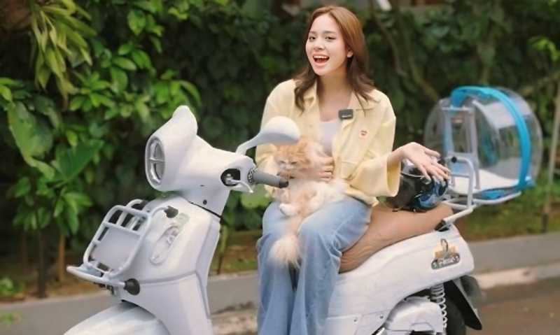 Zee JKT48 Modifikasi Yamaha Fazzio, Ada Kandang Kucingnya! Zee JKT48 Modifikasi Yamaha Fazzio, Ada Kandang Kucingnya!