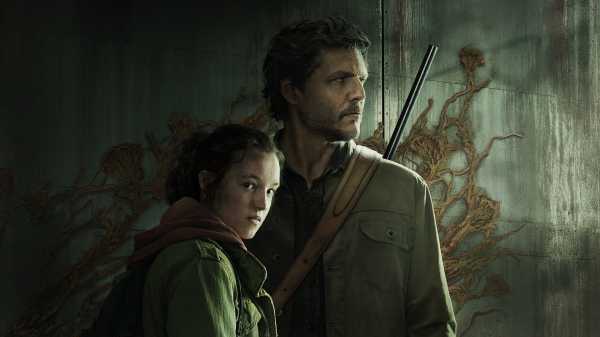 Ilustrasi serial The Last of Us (Foto: HBO)