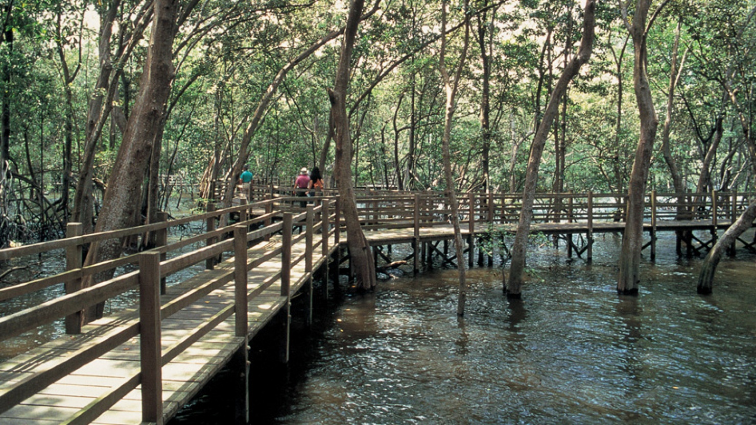 Singapura Bikin Taman Niat Banget, Nih 5 Rekomendasinya 