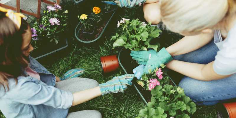 Mengenal Manfaat Terapi Berkebun