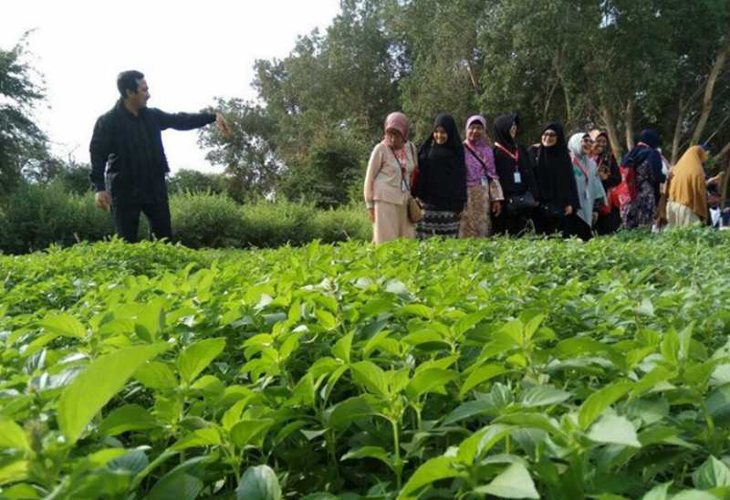Coba Perhatikan Foto Ini, Percayakah Anda Itu di Mekah? Coba Perhatikan Foto Ini, Percayakah Anda Itu di Mekah?