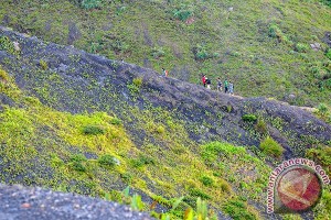 Taman Wisata Alam Bukit Kaba Dibuka Kembali Taman Wisata Alam Bukit Kaba Dibuka Kembali