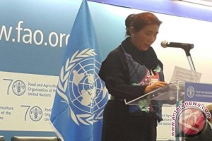 FAO puji peran indonesia berantas IUU Fishing FAO puji peran indonesia berantas IUU Fishing