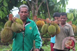 Benarkah durian bisa turunkan tekanan darah tinggi? ini jawaban ahli gizi