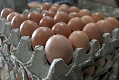 Kemendag Naikkan Harga Acuan Telur dan Daging Ayam