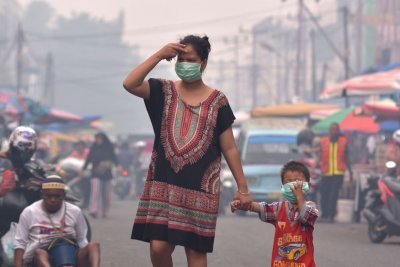 Jokowi Tetapkan Siaga Darurat di Riau Akibat Kebakaran Hutan Meluas