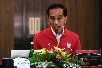 Jokowi Marah Kebakaran Hutan Terjadi Lagi, Sebut Bawahannya Lalai