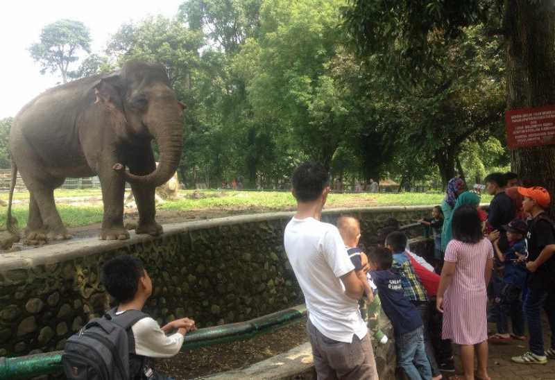 Bukan Atraksi Satwa, Ini 4 Wahana Baru Andalan Ragunan Bukan Atraksi Satwa, Ini 4 Wahana Baru Andalan Ragunan