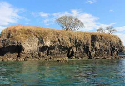 4 Pulau di Indonesia Ini Penghuninya Bukan Manusia 