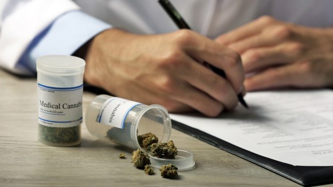 Thailand Legalkan Ganja Medis Sebagai Obat, Indonesia Kapan? Thailand Legalkan Ganja Medis Sebagai Obat, Indonesia Kapan?