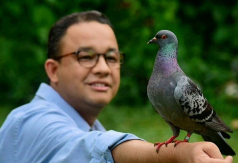 Mau Lihat? Begini Gaya Anies Baswedan Mainan Burung Mau Lihat? Begini Gaya Anies Baswedan Mainan Burung