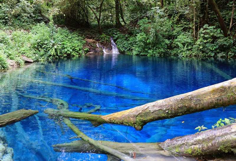 Ajaib, Danau ini Bersinar di Malam Hari Ajaib, Danau ini Bersinar di Malam Hari