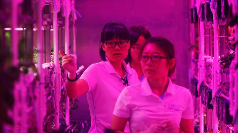 Empat Mahasiswa China Jajal Hidup di 'Planet' Lain Empat Mahasiswa China Jajal Hidup di 'Planet' Lain