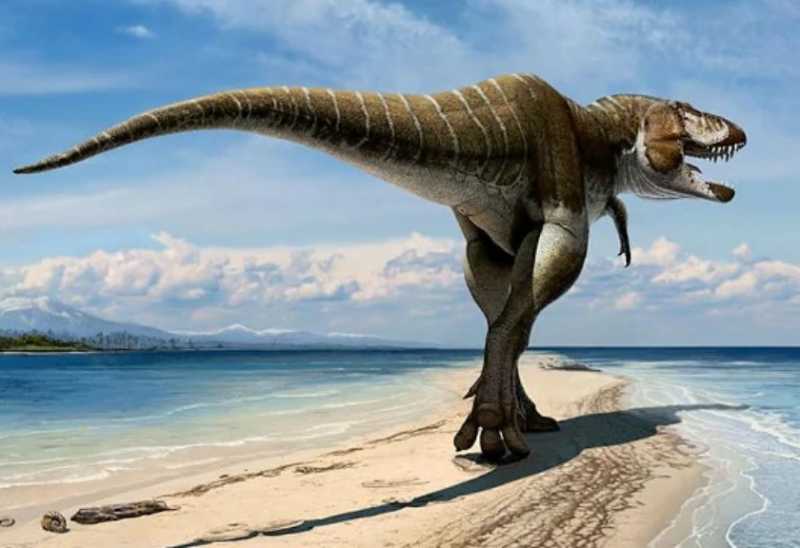 Bukan T-Rex, Ini Dinosaurus Terbuas yang Hidup di Bumi Bukan T-Rex, Ini Dinosaurus Terbuas yang Hidup di Bumi