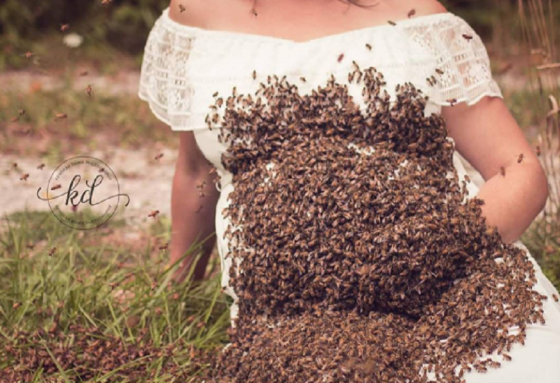Rayakan Kehamilan, Ibu Ini Foto dengan 20 Ribu Lebah di Perutnya Rayakan Kehamilan, Ibu Ini Foto dengan 20 Ribu Lebah di Perutnya