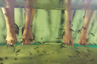 Gara-gara lakukan "fish pedicure", perempuan ini kehilangan semua kuku kakinya