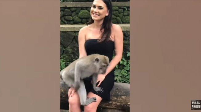 Ups, Kemben Turis Cantik Nyaris Melorot Ditarik Kera di Bali Ups, Kemben Turis Cantik Nyaris Melorot Ditarik Kera di Bali