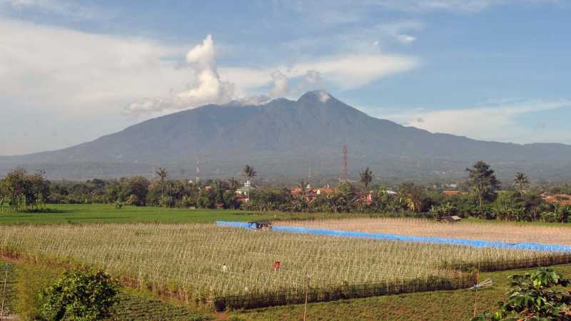 Pendakian Gunung Halimun Salak Tetap Buka saat Lebaran