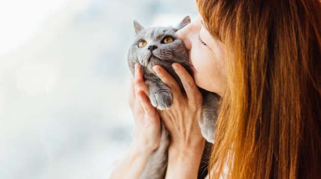 Parasit Kucing Bisa Bikin Gila? Parasit Kucing Bisa Bikin Gila?