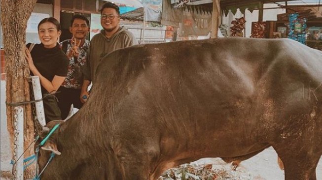 Duh, Awkarin Nyaris Diseruduk Sapi Kurbannya Sendiri Duh, Awkarin Nyaris Diseruduk Sapi Kurbannya Sendiri