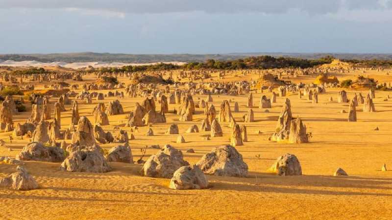 Pinnacles, Gurun Pasir Berbatu Lancip di Australia Barat Pinnacles, Gurun Pasir Berbatu Lancip di Australia Barat