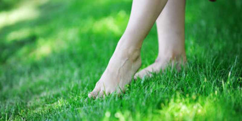 5 Manfaat Jalan Pagi di Atas Rumput bagi Kesehatan 5 Manfaat Jalan Pagi di Atas Rumput bagi Kesehatan