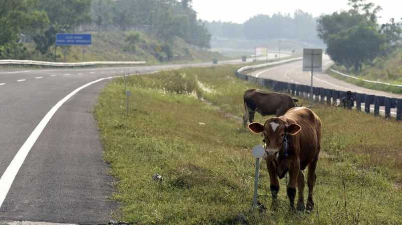 Ragam Atraksi Wisata Sepanjang Tol Trans Jawa