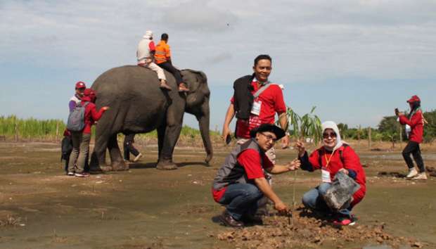 Wisata ke Padang Sugihan, Naik Gajah dan Bersantap Sate