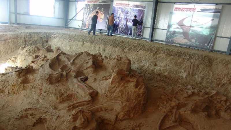 Menggali Surga Dinosaurus di Afrika Selatan Menggali Surga Dinosaurus di Afrika Selatan