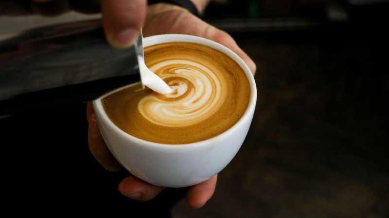 Camelccinos, Cappuccino dengan Campuran Susu Unta Camelccinos, Cappuccino dengan Campuran Susu Unta