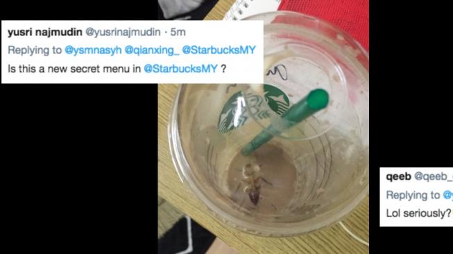 Wanita Ini Kaget Temukan Kecoak di Dalam Minuman Starbucks